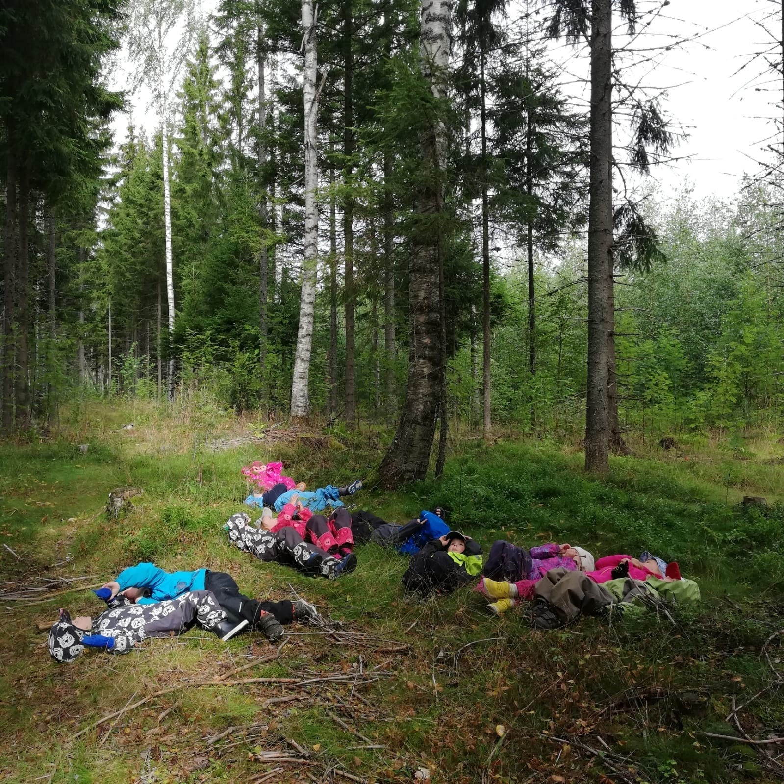 Lapset makoilevat metsässä.